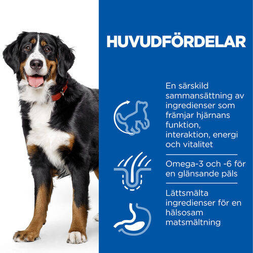 Hill's Mature Adult Senior Vitality Large Breed hundfoder med kyckling & ris