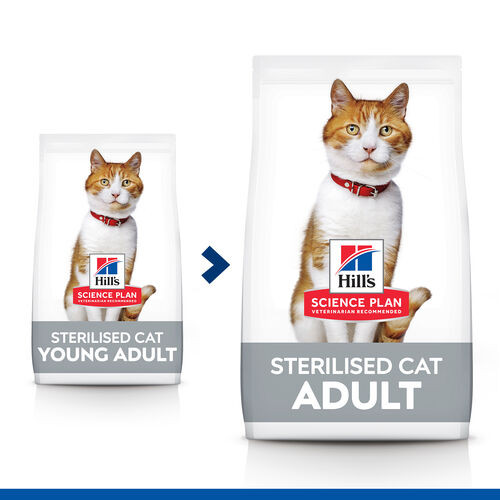 Hill's Adult Sterilised våtfoder katt med kyckling, lax, öring & kalkon multipack (85 g)