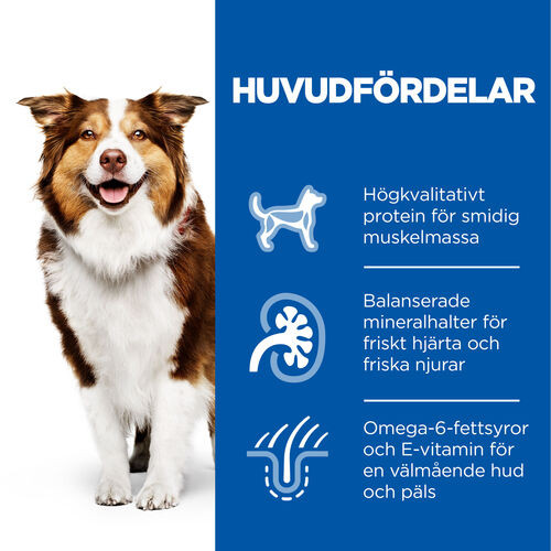 Hill's Mature Adult 7+ Medium mit Huhn Hundefutter