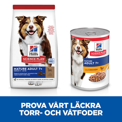 Hill's Mature Adult Medium hundfoder med lamm och ris