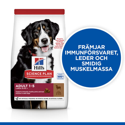 Hill's Adult Large Breed hundfoder med lamm & ris