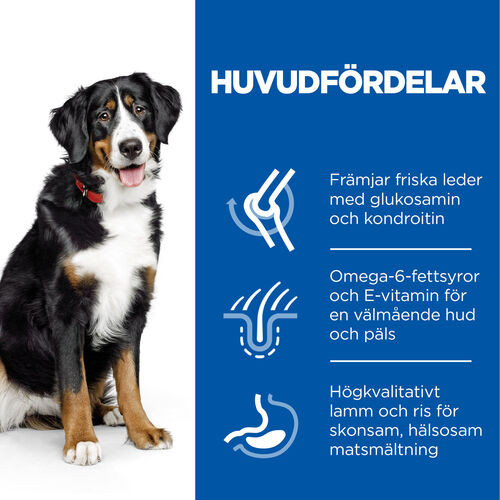 Hill's Adult Large Breed hundfoder med lamm & ris