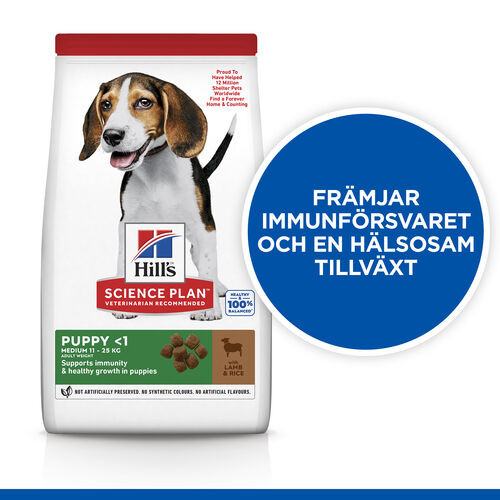 Hill's Puppy Medium hundfoder med lamm & ris