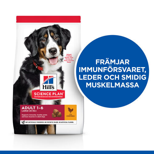 Hill's Adult Large Breed hundfoder  med kyckling