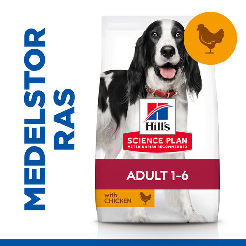 Hill's Adult Medium hundfoder med kyckling