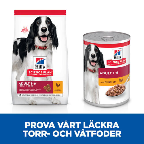 Hill's Adult Medium hundfoder med kyckling