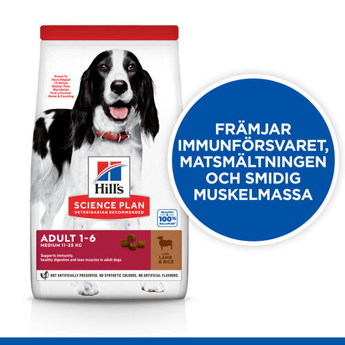 Hill's Adult Medium hundfoder med lamm och ris