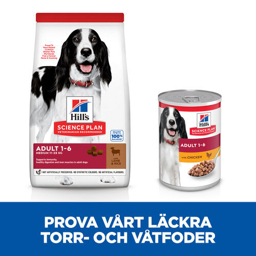 Hill's Adult Medium hundfoder med lamm och ris