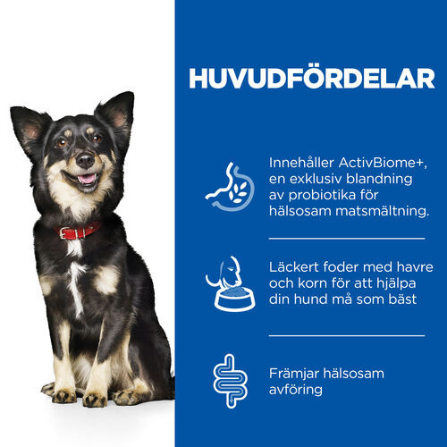 Hill's Adult Perfect Digestion Small & Mini hundfoder med kyckling & råris