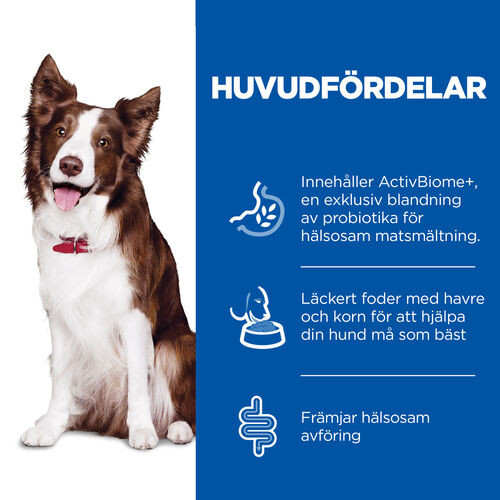 Hill's Adult Perfect Digestion Medium hundfoder med kyckling & råris