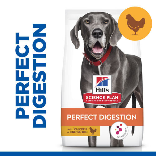 Hill's Adult Perfect Digestion Large hundfoder med kyckling & råris