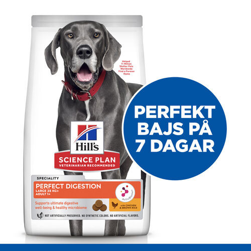 Hill's Adult Perfect Digestion Large hundfoder med kyckling & råris