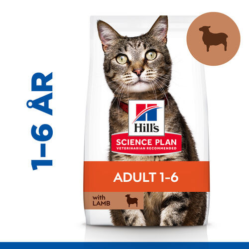 Hill's Adult kattfoder med lamm & ris