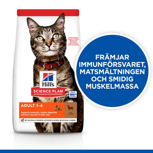 Hill's Adult kattfoder med lamm