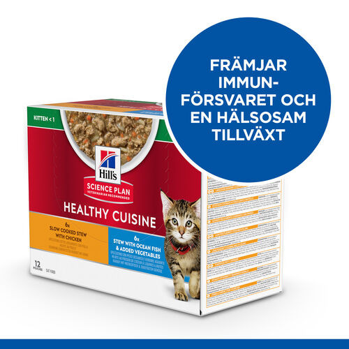 Hill's Healthy Cuisine Kitten Ragout mit Huhn & Gemüse, mit Meeresfisch & Gemüse Multipack