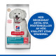 Hill's Adult Small & Mini Hypoallergenic Hundefutter mit Lachs