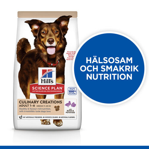 Hill's Culinary Creations Adult Medium Hundefutter mit Ente und Kartoffel