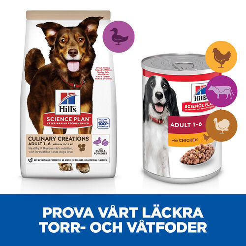 Hill's Culinary Creations Adult Medium Hundefutter mit Ente und Kartoffel