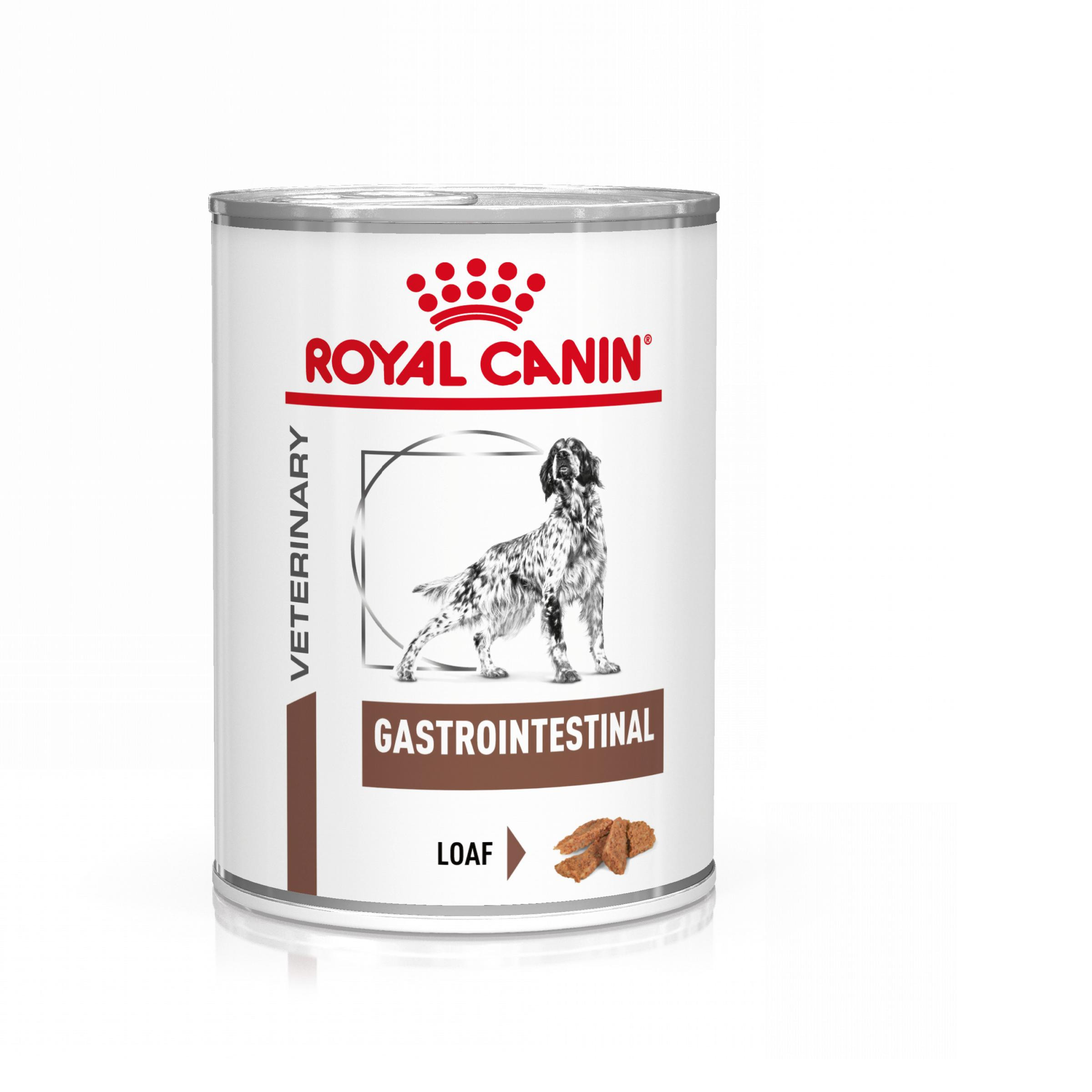 Royal Canin Veterinary Diet Gastro Intestinal blik 400 gr hond