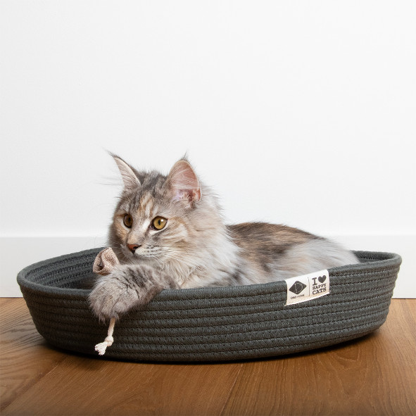 Jess kattenmand