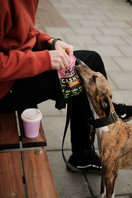 Beco Treats Cashew hondensnacks