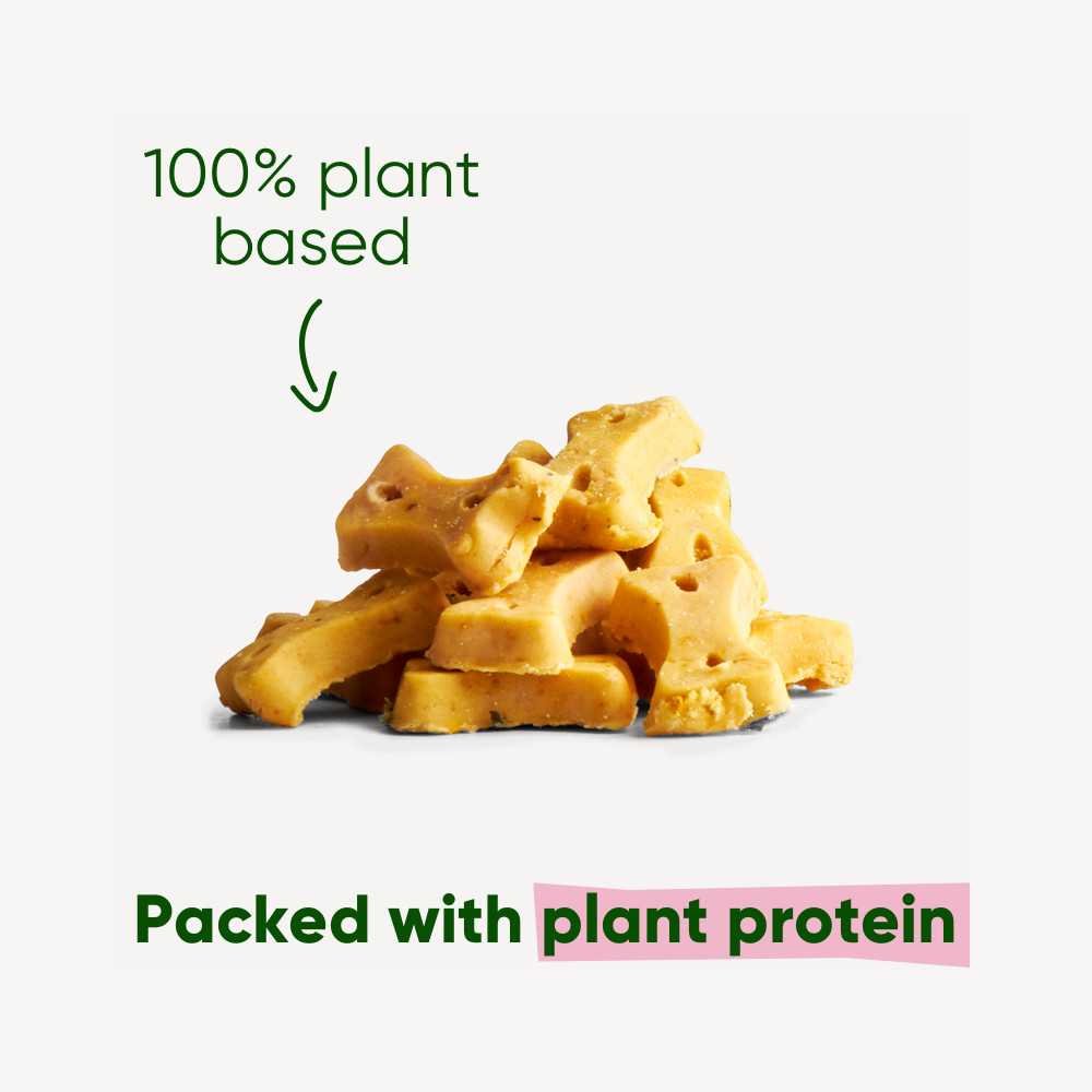 Beco Treats Cashew hondensnacks