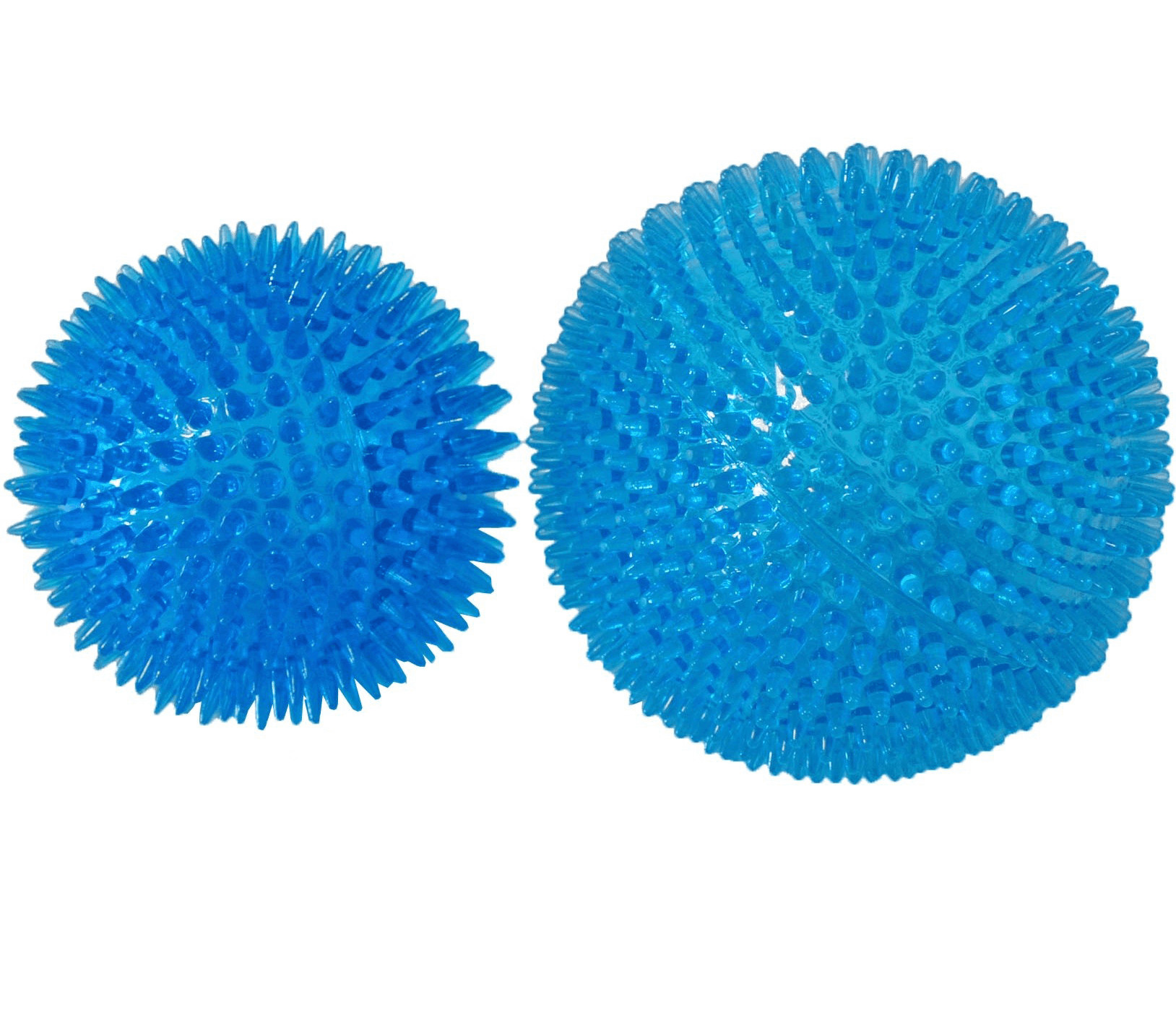Flytande boll med taggar blå hundleksak