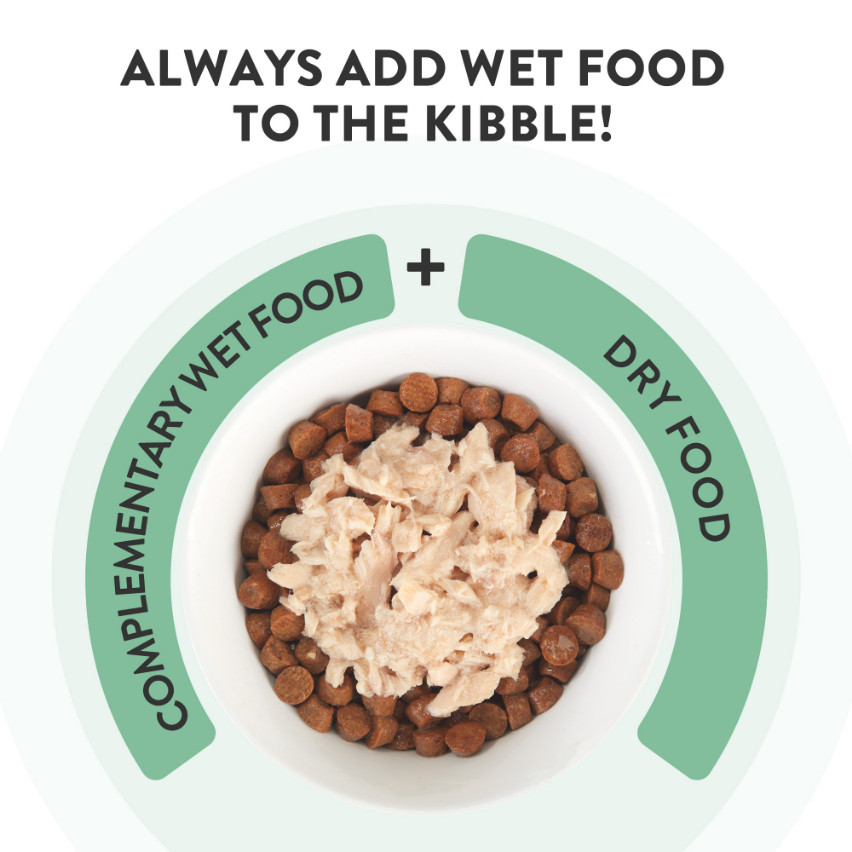 Schesir tonijn met tandbrasem (jelly) natvoer kat (blikjes 85 g)