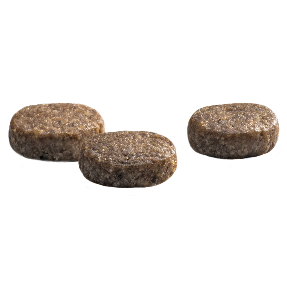 Prins Protection Croque Junior Performance hondenvoer