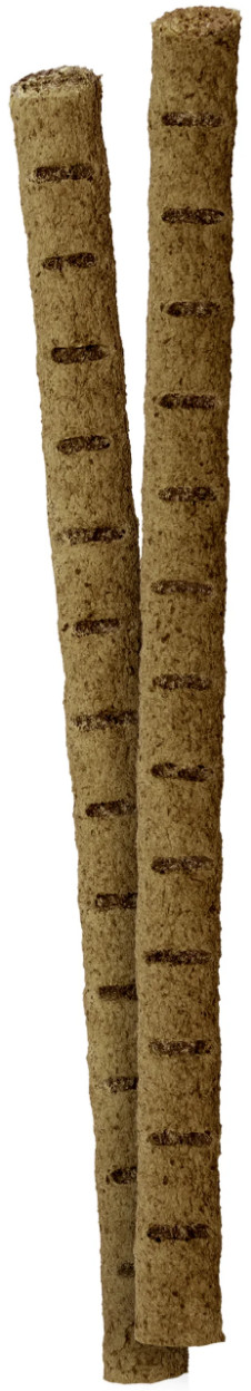 Vitakraft Insektspinne hundgodis (2 x 12 g) Vitakraft Insektspinne hundgodis (2 x 12 g)