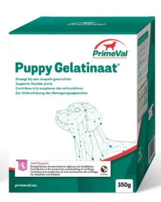 Primeval Puppy Gelatinate kosttillskott för valp