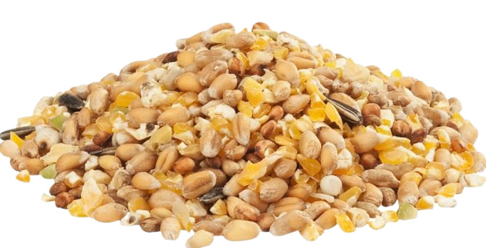 Versele Laga Country's Best GRA-Mix Ardennes Grain fjäderfäfoder