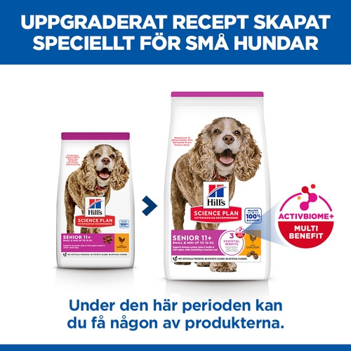 Hill's Senior Small & Mini hundfoder med kyckling