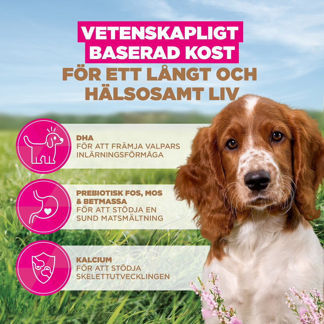 Eukanuba Puppy & Junior S/M graanvrij zeevis hondenvoer
