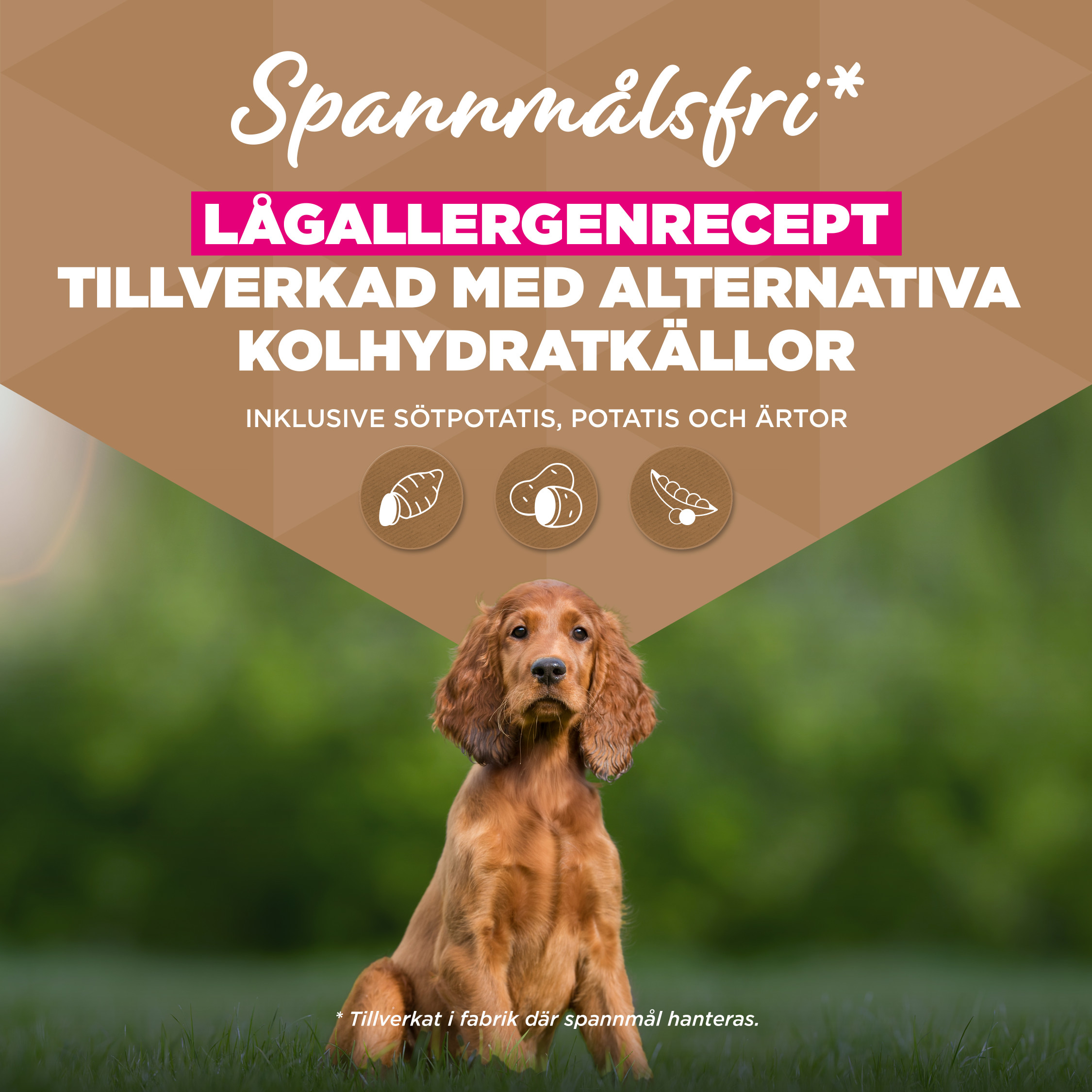 Eukanuba Puppy & Junior S/M graanvrij zeevis hondenvoer