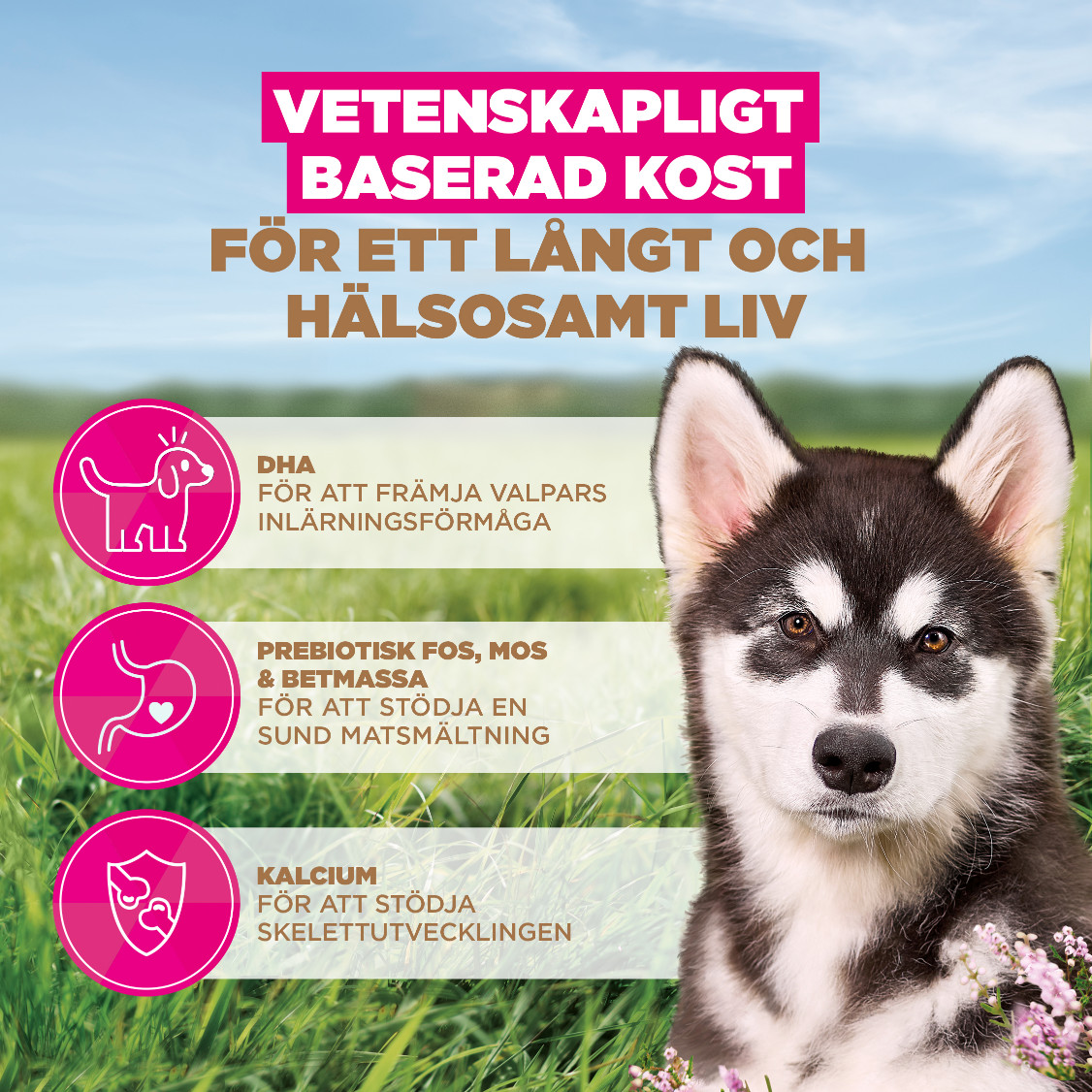 Eukanuba Puppy & Junior L/XL graanvrij zeevis hondenvoer