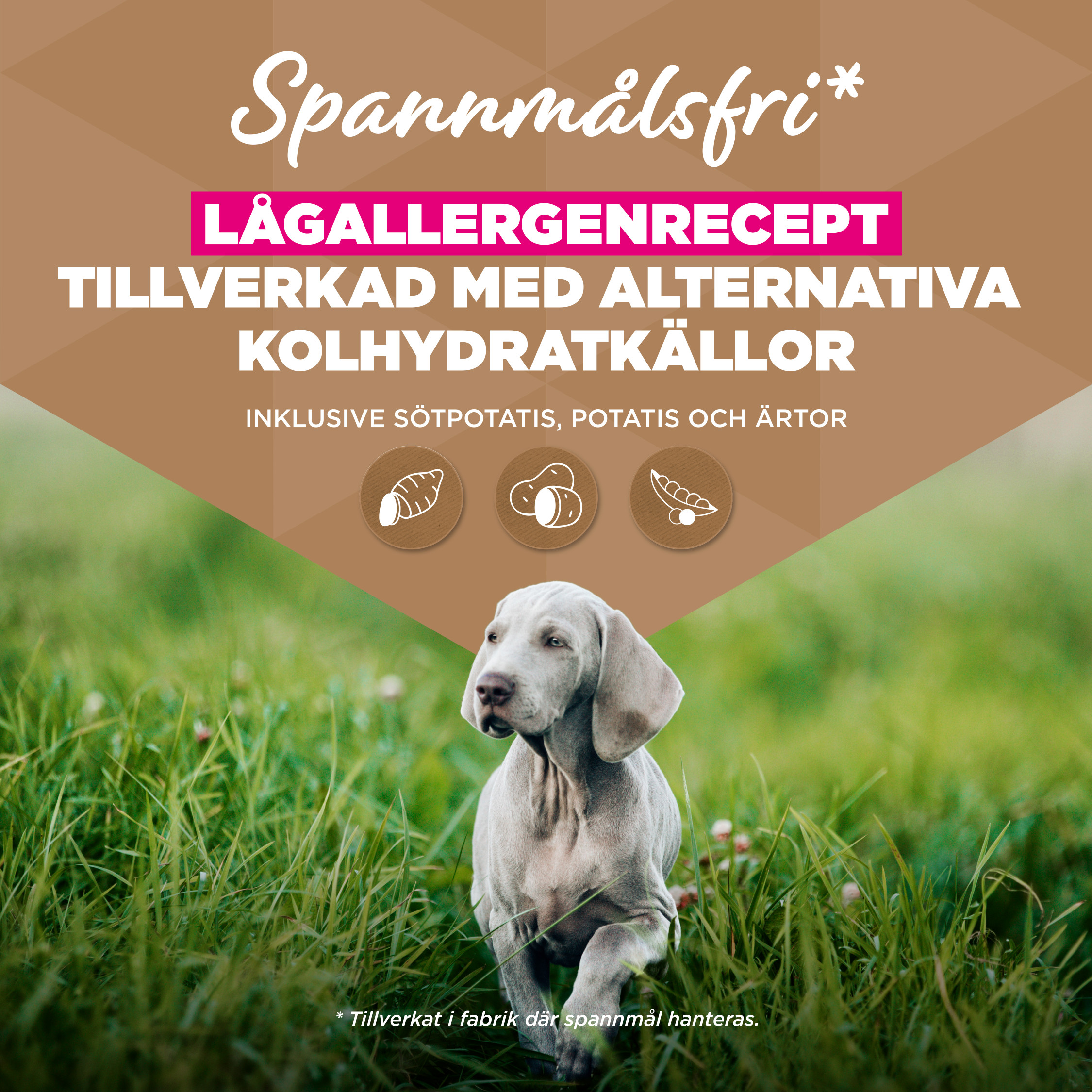 Eukanuba Puppy & Junior L/XL graanvrij zeevis hondenvoer