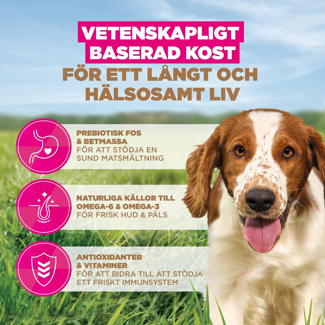 Eukanuba Adult S/M graanvrij zeevis hondenvoer