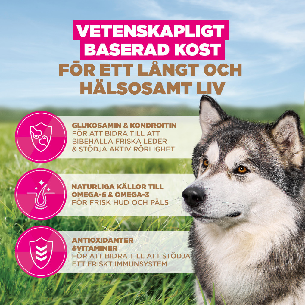 Eukanuba Senior Large met oceaanvis graanvrij hondenvoer