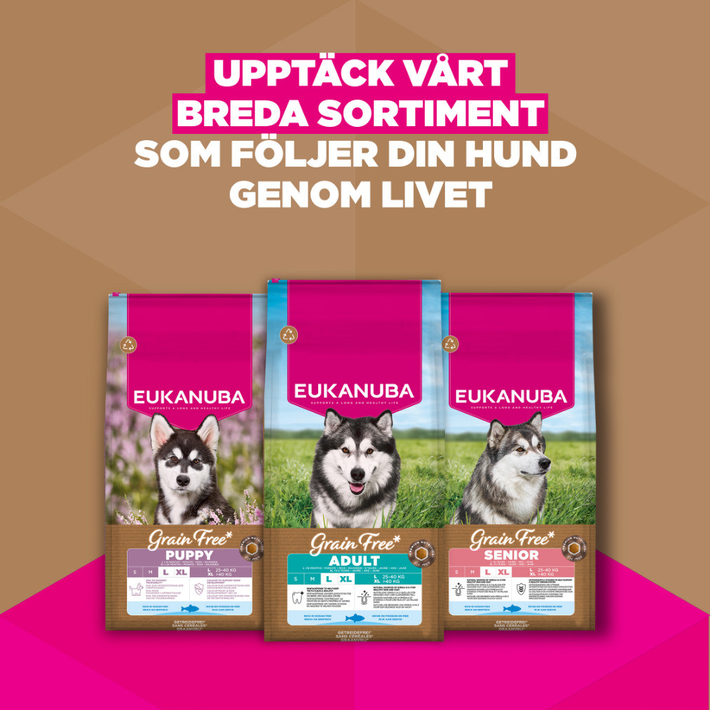 Eukanuba Senior Large met oceaanvis graanvrij hondenvoer