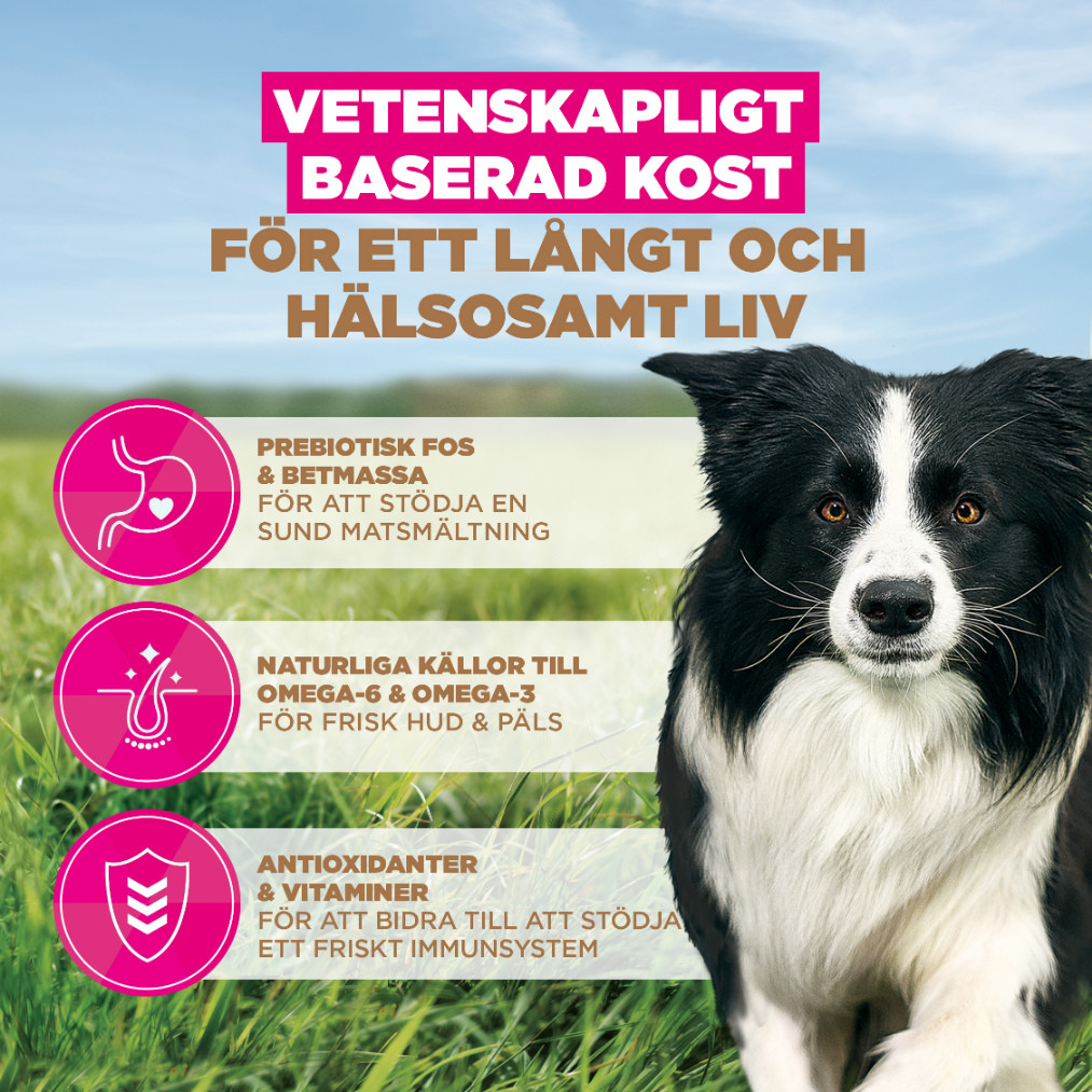 Eukanuba Adult Small & Medium kip graanvrij hondenvoer