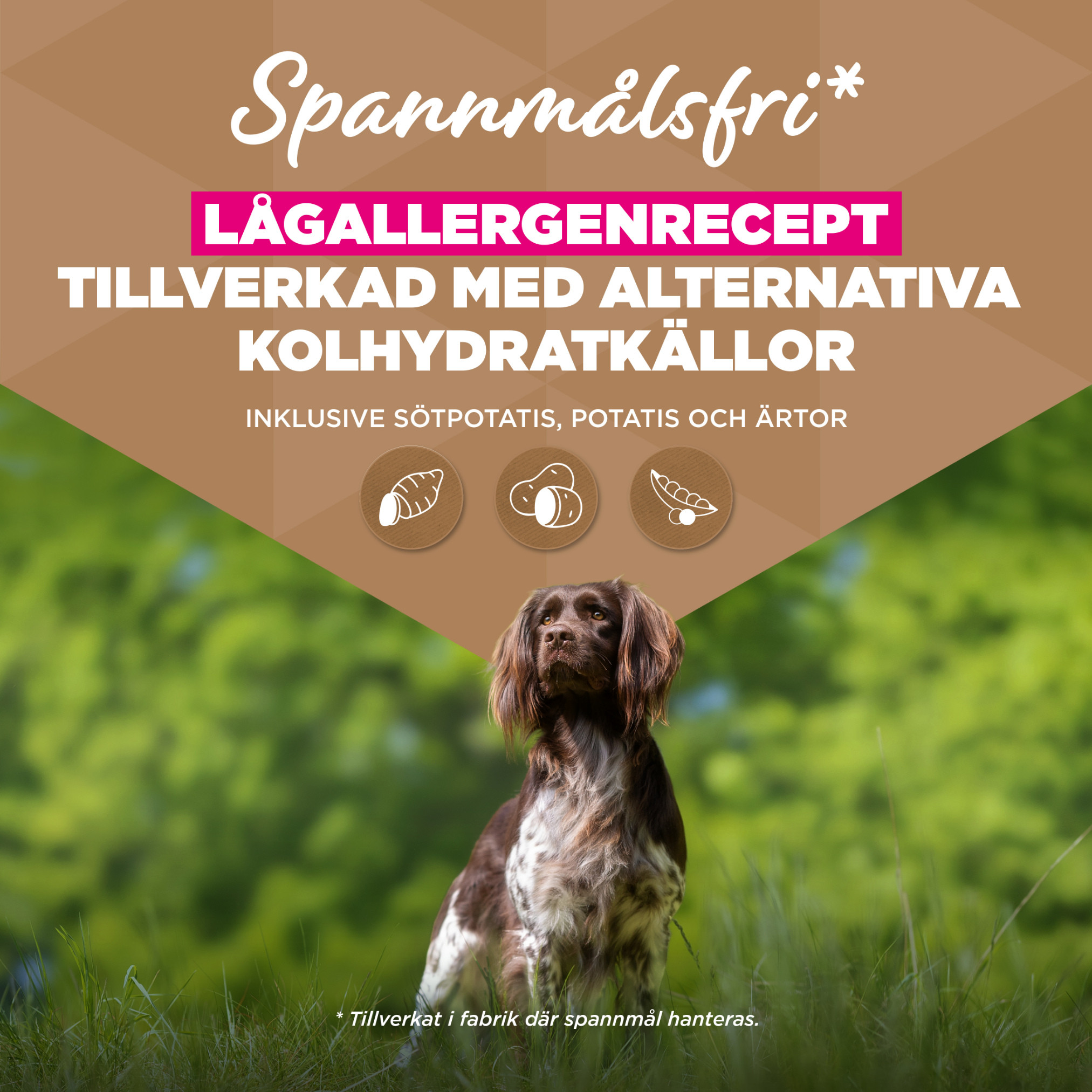 Eukanuba Adult Small & Medium kip graanvrij hondenvoer
