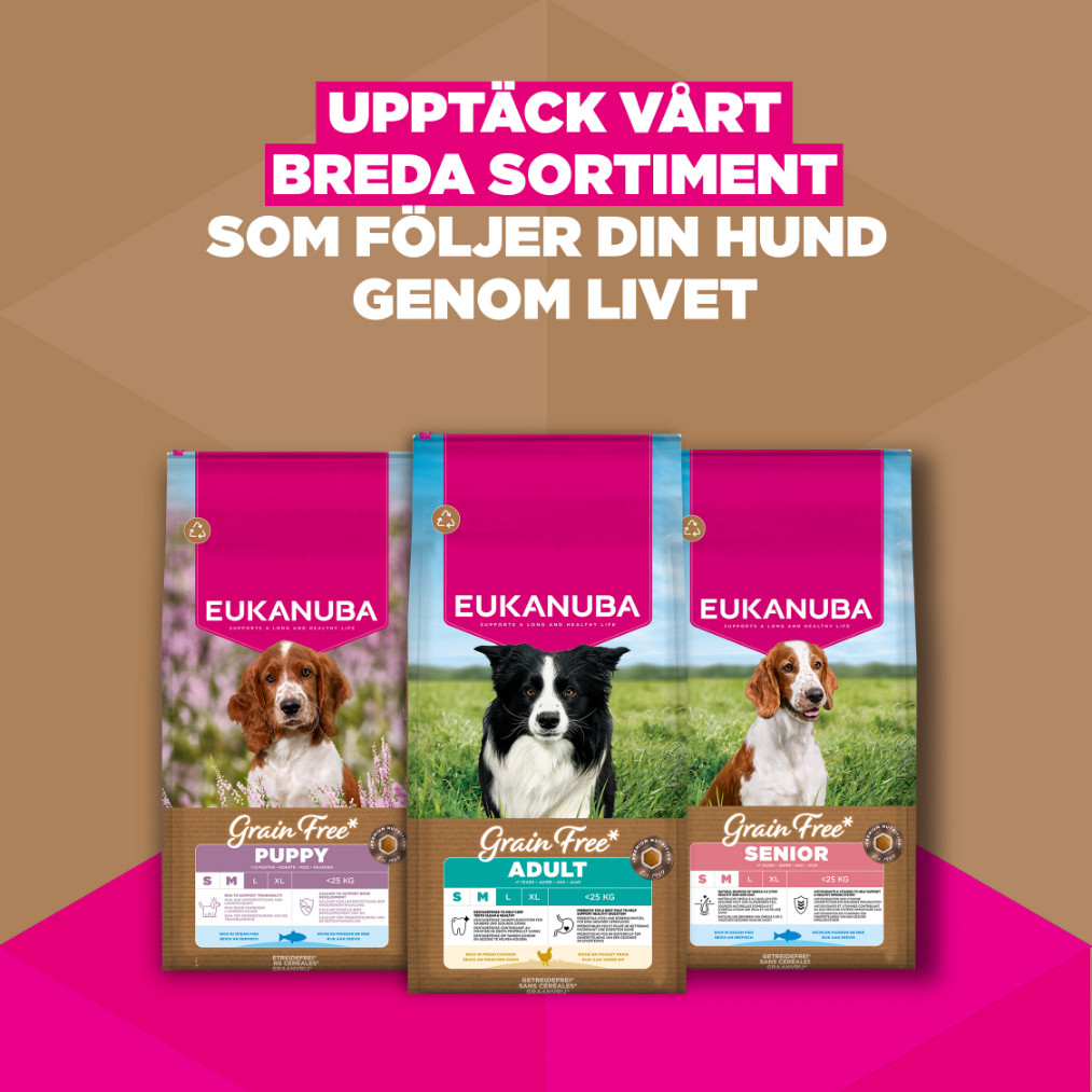 Eukanuba Adult Small & Medium kip graanvrij hondenvoer