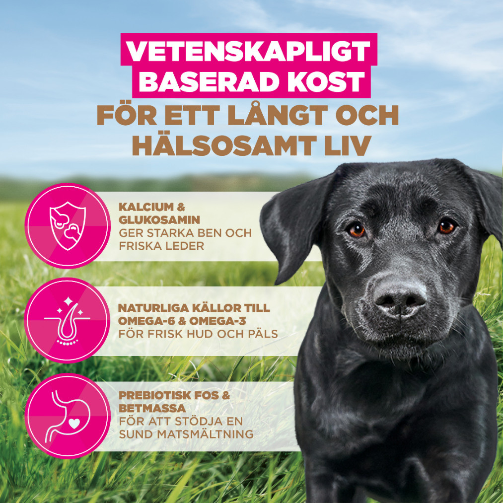Eukanuba Adult Large kip graanvrij hondenvoer