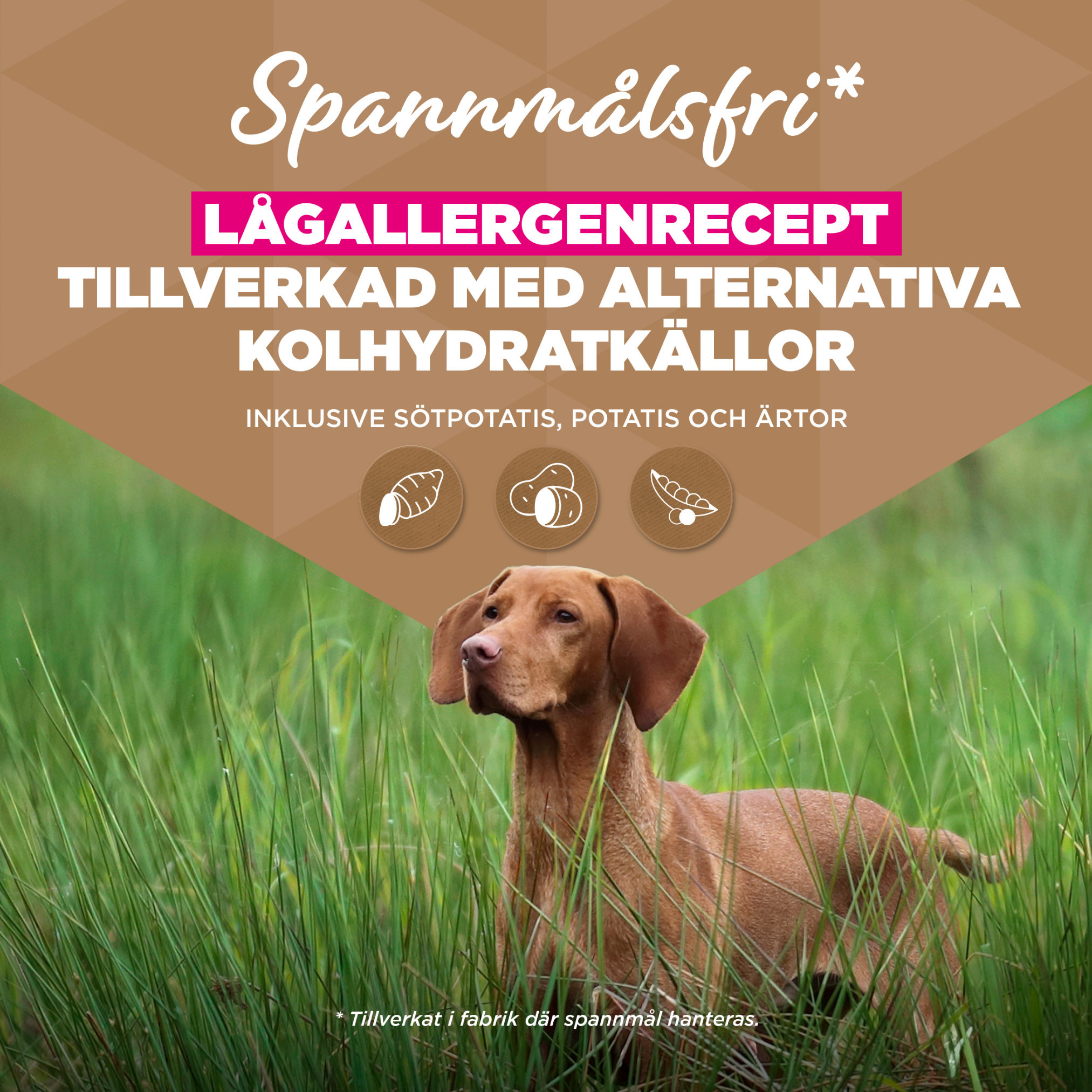 Eukanuba Adult Large kip graanvrij hondenvoer