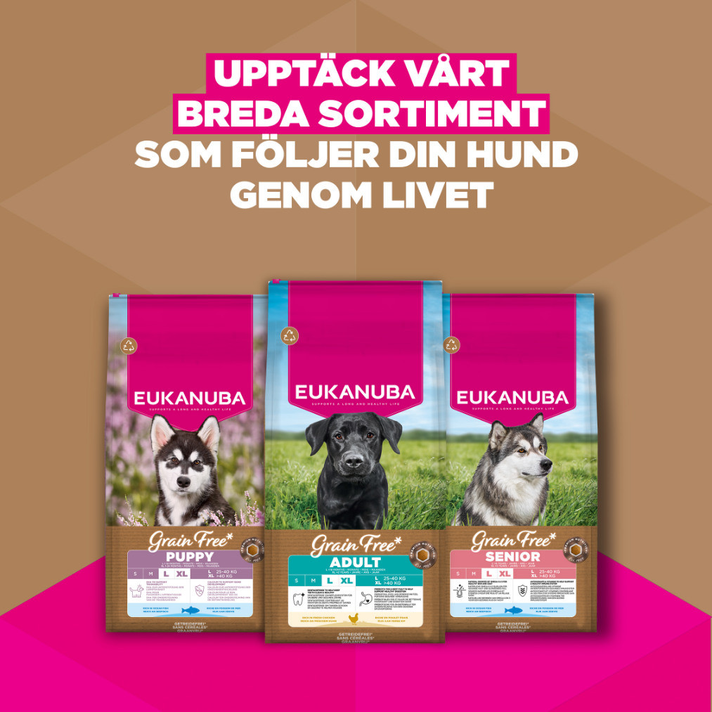 Eukanuba Adult Large kip graanvrij hondenvoer