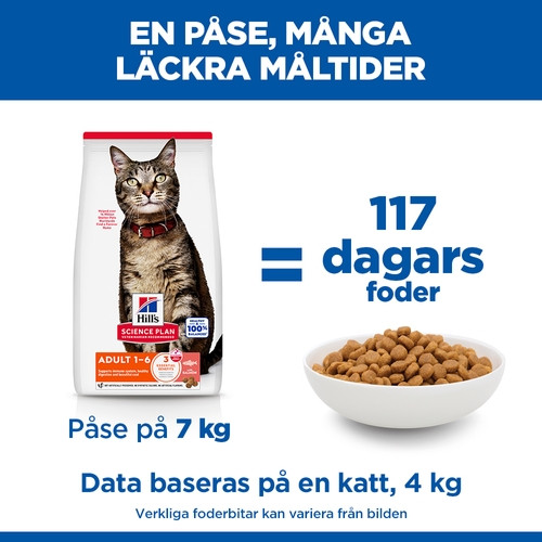 Hill's Adult kattfoder med lax