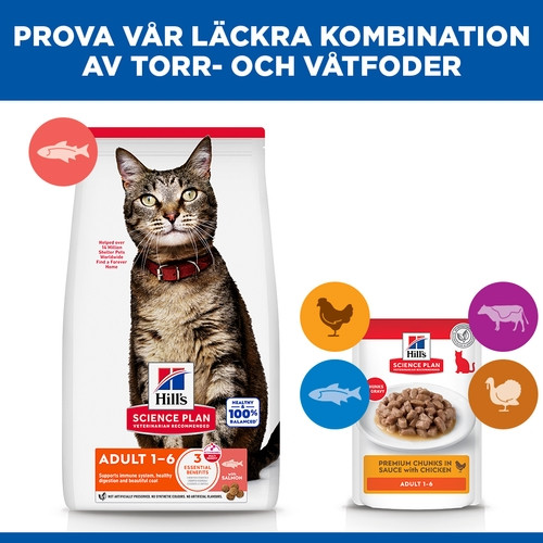 Hill's Adult kattfoder med lax