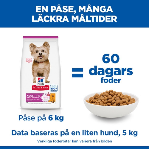 Hill's Adult Small & Mini hundfoder med kyckling