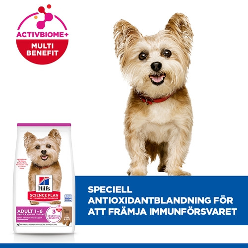 Hill's Adult Small & Mini hundfoder med lamm & ris
